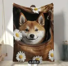 再入荷　新品柴犬柄ブランケット　７０×１００㎝