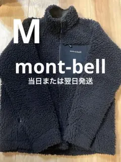 Item thumbnail for item 72395567-71e1-4af3-80b5-c87decaa1a56