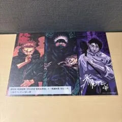 呪術廻戦　映画特典　第1弾入場者プレゼント　芥見下々描き下ろしビジュアルボード