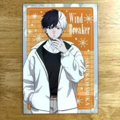 WIND BREAKER ウィンブレ プリカフェ 特典ポストカードカード 桜遥