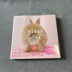 Item thumbnail for item 4e4bbdb9-6080-4090-87b8-e0bd97fd028b