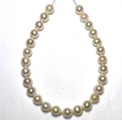 P1812 あこや真珠7.0-7.5mm