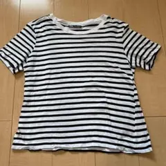 ZARA 白黒ストライプ 半袖Tシャツ