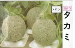 メロン農家直送 訳あり 7玉入り 糖度は十分あります - メルカリ