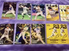 プロ野球チップスカード　福岡ソフトバンクホークス 11枚　スターカード2枚あり