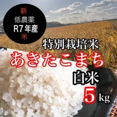 R7年産◎低農薬 【特別栽培米】あきたこまち 白米5kgのサムネイル