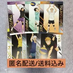 ハイキュー アニメイト特典 疑似ユース合宿フェア ポストカード 擬似ユース
