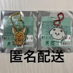 TXT プルバトゥ　ファンチュン　バムグッ　アクリルキーリングセット
