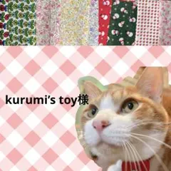 kurumi’s toy様 リクエスト 7点 まとめ商品