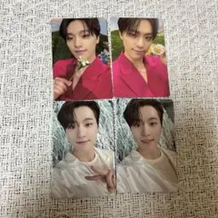 seventeen sector17 ディノ　トレカ