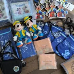 東京ディズニーリゾート ミッキーぬいぐるみとパッケージセット