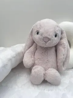 先行販売 ジェリーキャット Bashful Bunny Junior タグ付き - メルカリ