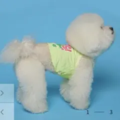 Item thumbnail for item dbe67509-d739-403b-8d46-650adf003f99