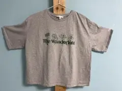 H&M レディース　半袖Tシャツ グレー