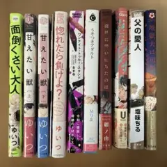 BL本　10冊＋小冊子１冊　まとめ売り