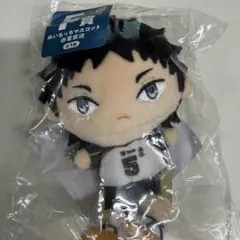 ハイキュー!! ぬいもっちマスコット 赤葦京治 F賞