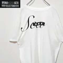 希少 ウィンダンシー ゴッドセレクショントリプルエックス 両面 ロゴ Tシャツ
