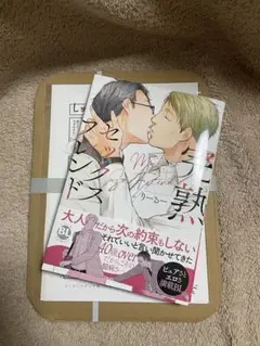とろける、おじさん。/完熟セックスフレンド　　りーるー