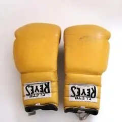 Item thumbnail for item a9b96fd9-1261-4982-abce-1f6221b8c819