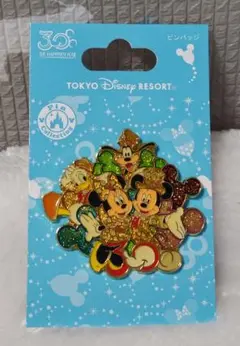 TDR TDL ディズニーランド30周年 ピンバッジ ハピネスHappiness