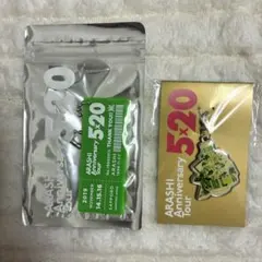 嵐 5×20 キーホルダー チャーム 緑 会場限定