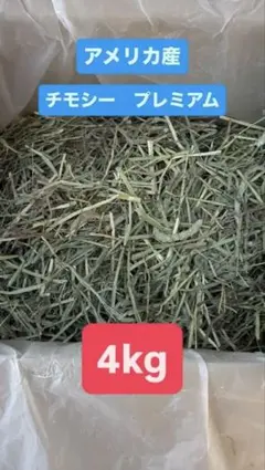 Item thumbnail for item de72acc1-f2b7-4529-a632-0d35c62544a3