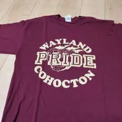 GILDAN プリントTシャツ ワインレッド L