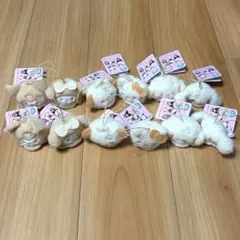 サンリオ POMPOMポップコーンミニミニマスコット コンプリートセット ×2