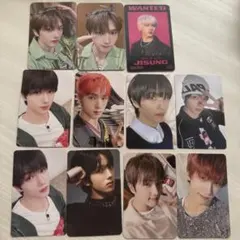 チソントレカまとめ売り