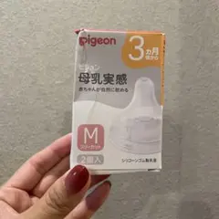 Item thumbnail for item e735c42f-a055-41a0-9e7f-4c9517168075