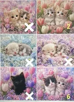 ハンドメイド♡オーダーページ【にゃんこ 45】 - メルカリ