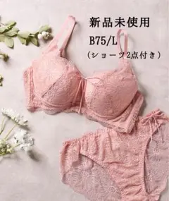 新品タグ付き　B75ブラ&Lショーツ2点　モンシェルピジョンのサムネイル