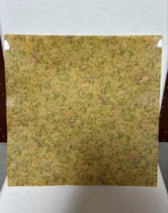 Item thumbnail for item fd22eb7d-6a24-4671-8c7a-7552953e76c9