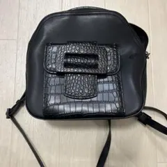 Item thumbnail for item 68ee5984-9ab2-431b-96c5-fc956e041611