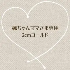 ステンレスフープピアス◆ゴールド