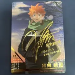 ハイキュー バボカ 日向翔陽 サイン HV-P01-001 4-1/767 - メルカリ