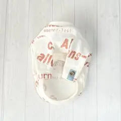 Item thumbnail for item b8668709-9aeb-4d81-8161-ddca4e46e08f