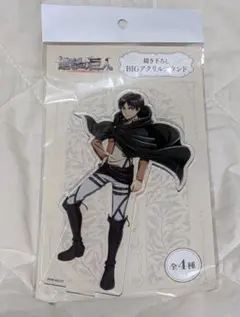 進撃の巨人 描き下ろしBIGアクリルスタンド エレン