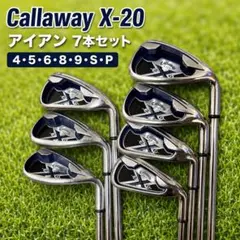 【訳あり】Callaway X-20 アイアン7本 TRUE TEMPER Rのサムネイル