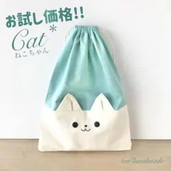 ✳︎お試し価格✳︎【再販】ハンドメイド 巾着袋 ねこちゃん ミント