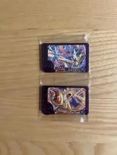 ポケモンフレンダ ザシアン ザマゼンタ