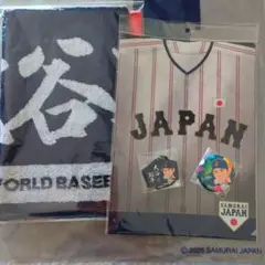 大谷翔平 日本ハム プレーヤーズ 下敷き クリアファイル セット 大谷翔平 日本ハム プレーヤーズ 下敷き クリアファイル セット - メルカリ