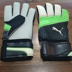 Item thumbnail for item 78fefa14-aea4-4bed-8e55-4f648fc34f70