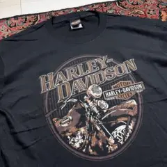 極希少 00s ハーレーダビッドソン Tシャツ クモ ブラックウィドウ USA 