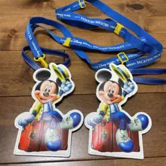 バケーションパッケージ専用　チケットホルダー2個　最新　一つは未使用品