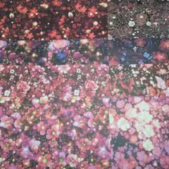 Item thumbnail for item 17094f53-75a6-4ea9-a667-9e0300183c6f