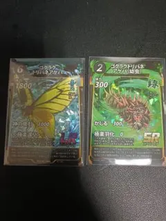 蟲神器 LR ゴクラクトリバネアゲハ 幼虫 2枚セットのサムネイル