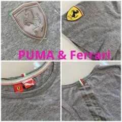PUMA & FerrariコラボレーションTシャツ Mサイズ