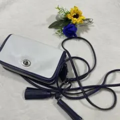 Item thumbnail for item 321f53bf-422b-4b20-96a0-97588f2ca26c