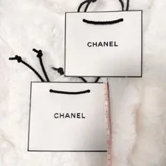 CHANEL ショッパー 2個セット　シャネル ギフト袋